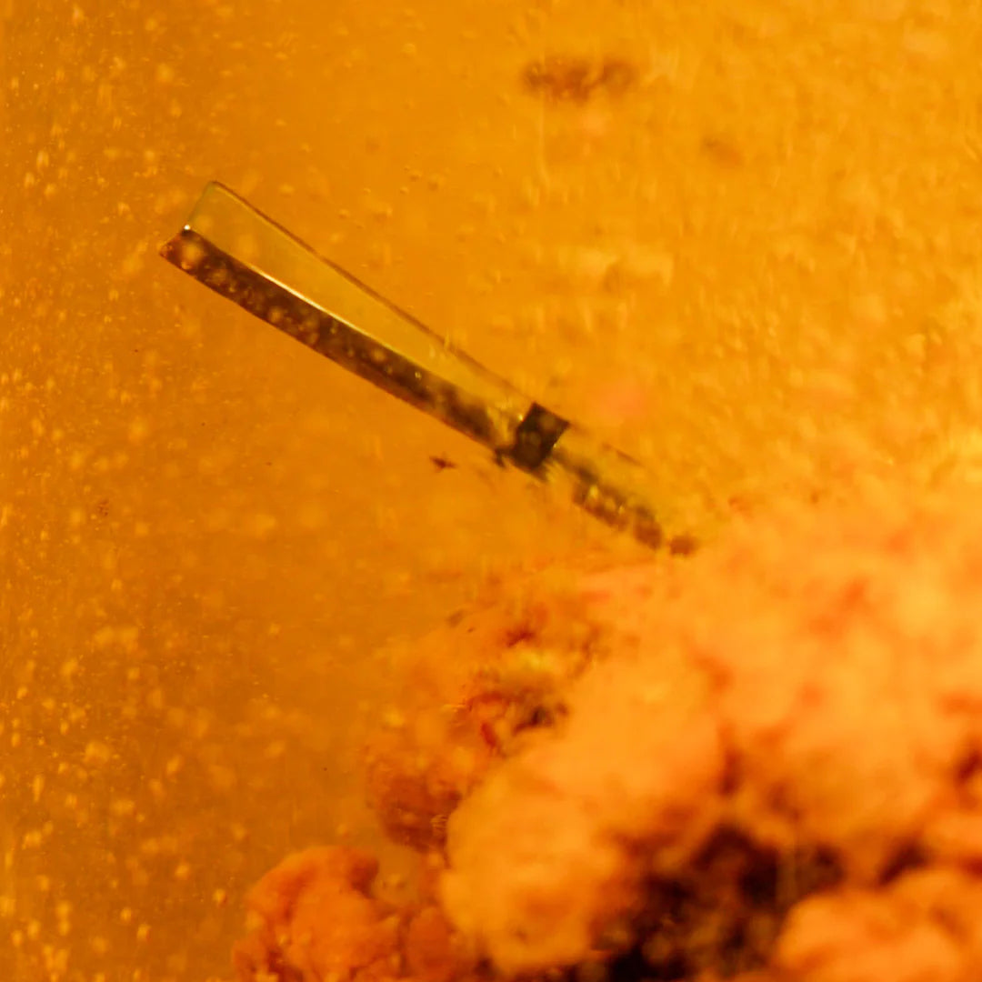 MEATER® Pro | BBQ Meat Thermometers NZ | Meater NZ | Accessories,BBQ Accessories,Thermometer | Outdoor Concepts