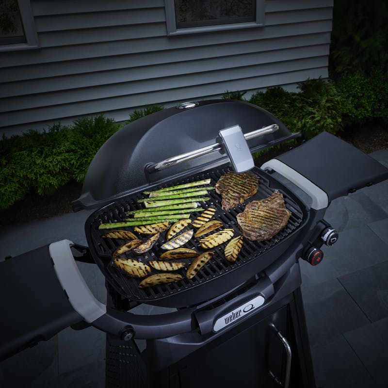 Grill 'n' Go handle light (Q3X00N, Traveler) | BBQ Accessories NZ | Weber NZ | | Outdoor Concepts