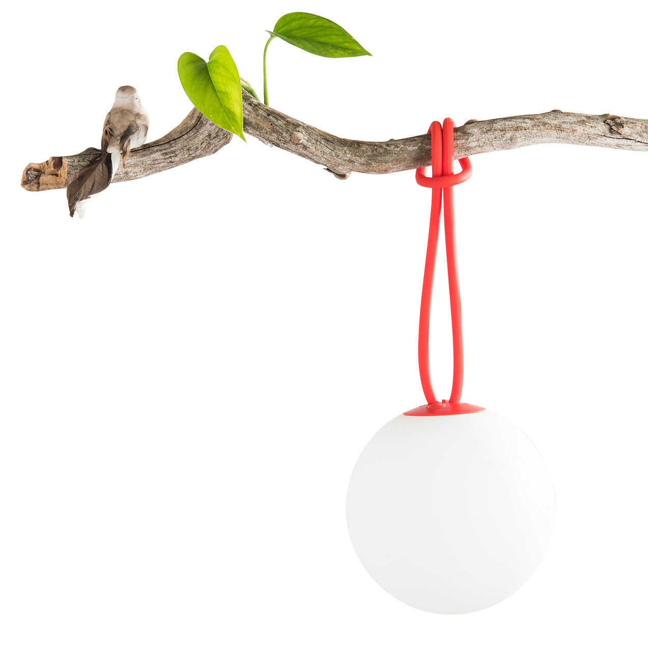 Fatboy® Bolleke | Garden NZ | Fatboy NZ | Garden,lamps | Outdoor Concepts
