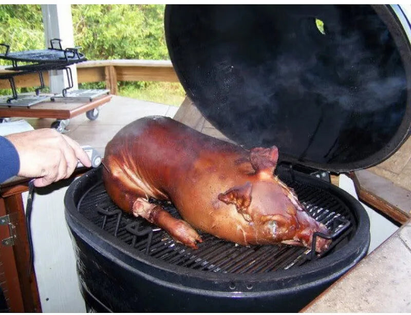 Primo Oval L All-In-One | Charcoal BBQs NZ | Primo Grills NZ | Charcoal | Outdoor Concepts